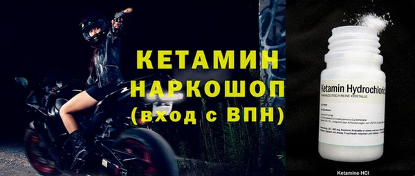 индика Инта