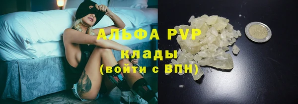 мяу мяу мука Инсар