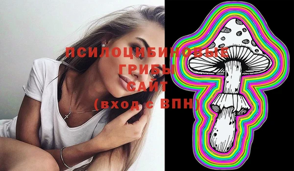 мяу мяу мука Инсар
