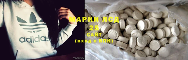 индика Инта