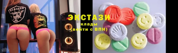 индика Инта