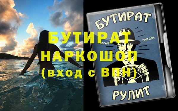индика Инта