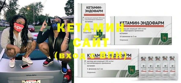 индика Инта