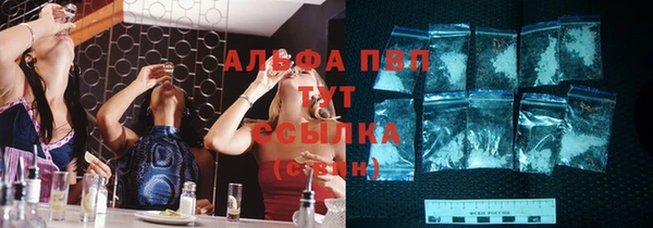 индика Зеленодольск