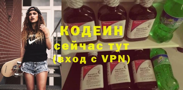 индика Зеленодольск