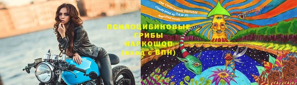 молекула духа Иннополис