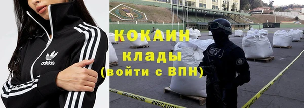 индика Инта
