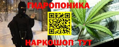 сатива Аргун