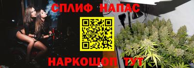сатива Аргун