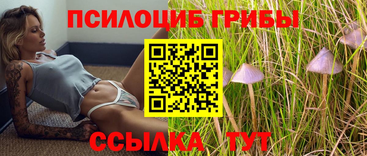 где купить   Вход с VPN  Белгород  Псилоцибиновые грибы Psilocybine cubensis  Псилоцибиновые грибы Psilocybine cubensis 
